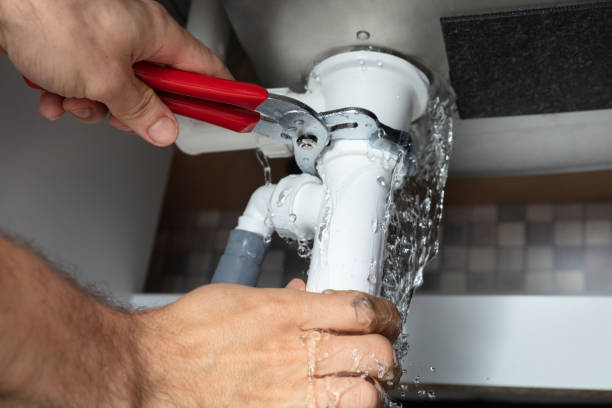 Best Water damage restoration near me  in New Port Richey, FL