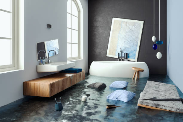 Best Sewage cleanup and water damage restoration  in New Port Richey, FL