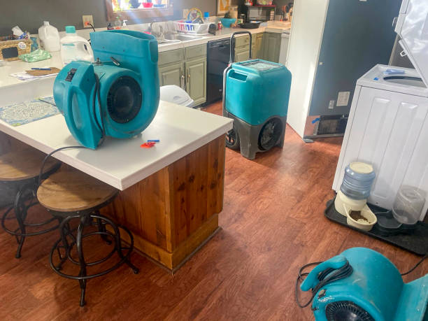 Best Water damage restoration cost  in New Port Richey, FL