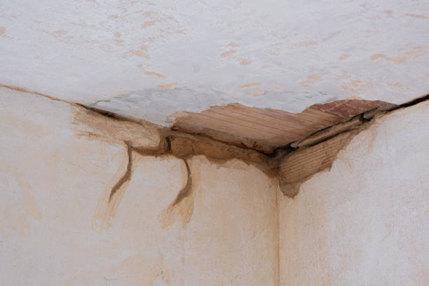 Best Flooded house restoration  in New Port Richey, FL