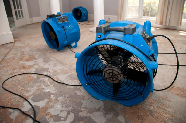 Best Sewage cleanup and water damage restoration  in New Port Richey, FL