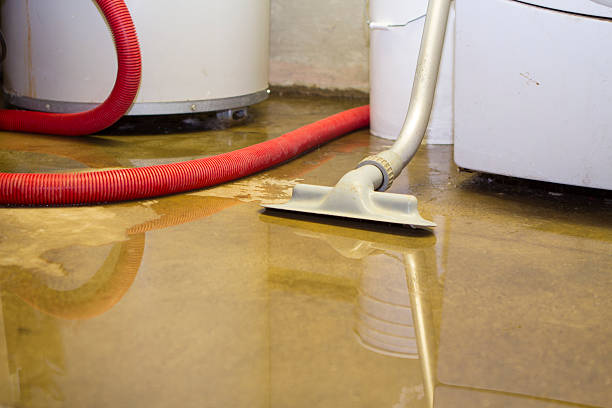 Best Basement water damage restoration  in New Port Richey, FL
