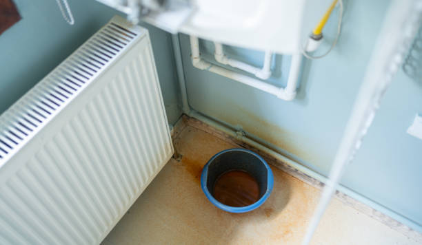 Best Basement water damage restoration  in New Port Richey, FL