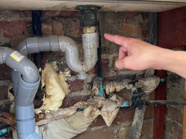 Best Water damage cleanup near me  in New Port Richey, FL