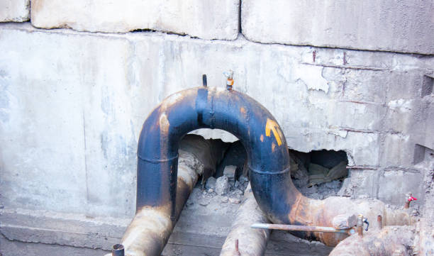 Best Ceiling water damage repair  in New Port Richey, FL