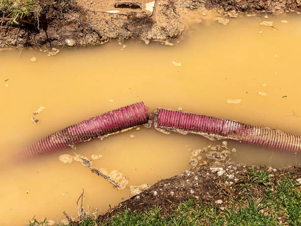 Best Water damage restoration insurance claims  in New Port Richey, FL